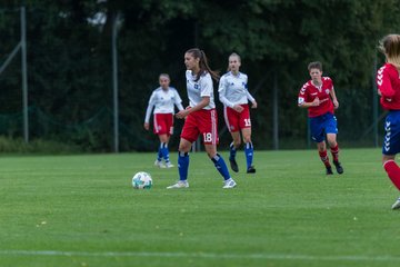 Bild 152 - B-Juniorinnen HSV - FF USV Jena : Ergebnis: 3:1
